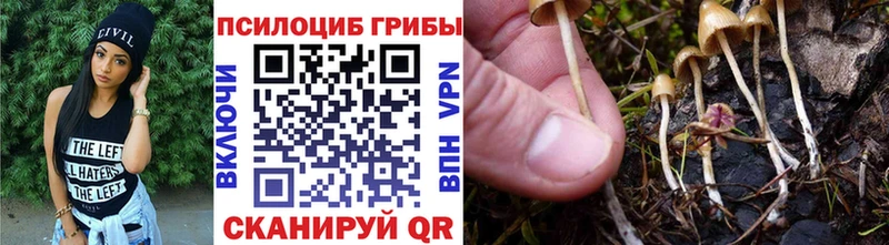 наркота  Нижний Новгород  Псилоцибиновые грибы мухоморы 